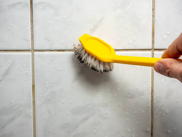 Best Same-Day Mold Removal  in Delisle, MS