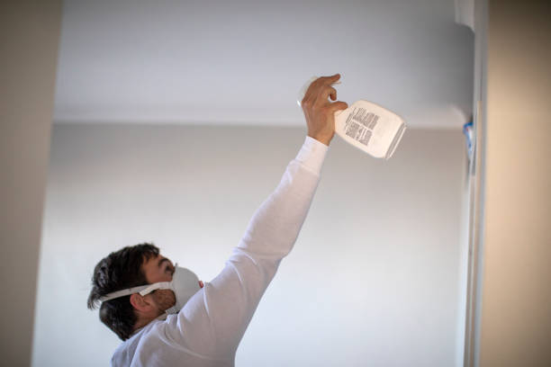Best Crawl Space Mold Removal  in Delisle, MS