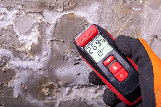 Best Mold Removal Near Me  in Delisle, MS