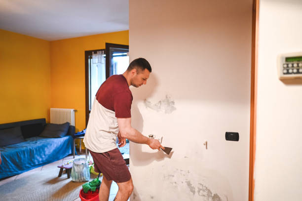 Office Mold Removal Services in Delisle, MS