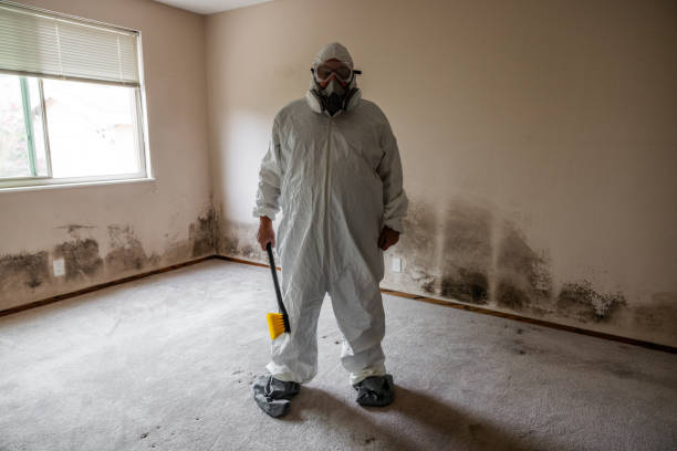 Best Mold Testing and Removal  in Delisle, MS